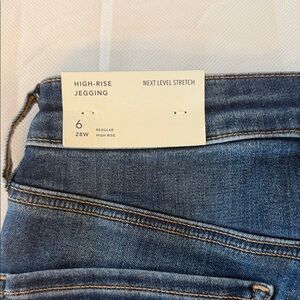 American Eagle Outfitters Indigo Skinny Jeans